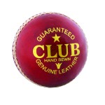 A106 Readers Club Cricket Ball