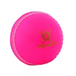 C204 Readers Supaball Pink Cricket Balls